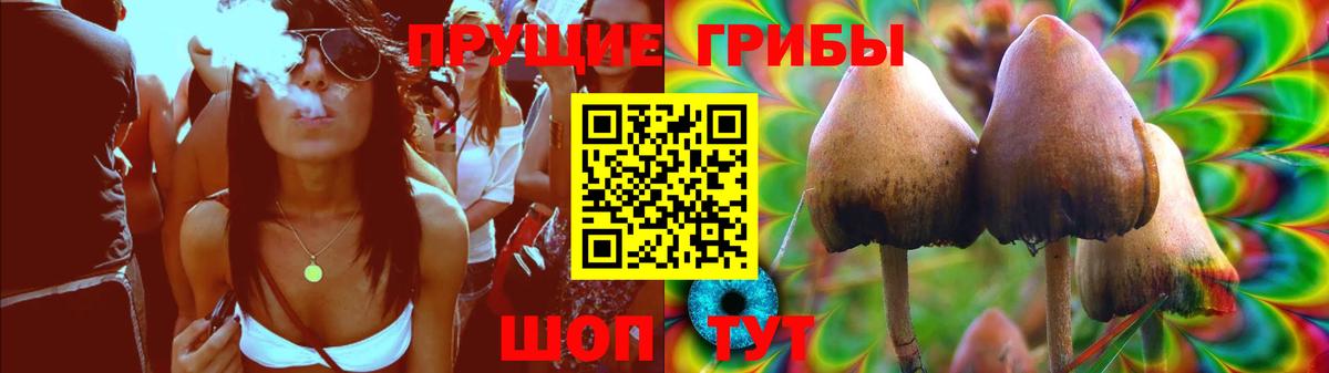 Богородицк  Псилоцибиновые грибы GOLDEN TEACHER  Вход с VPN 